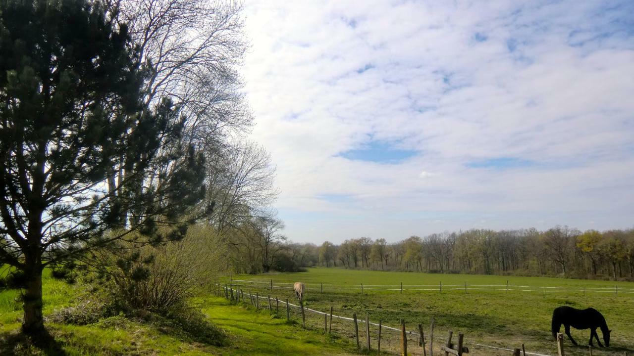 Ivoy-le-Pré Les Anniquinsヴィラ エクステリア 写真